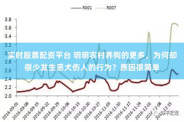 实时股票配资平台 明明农村养狗的更多，为何却很少发生恶犬伤人的行为？原因很简单