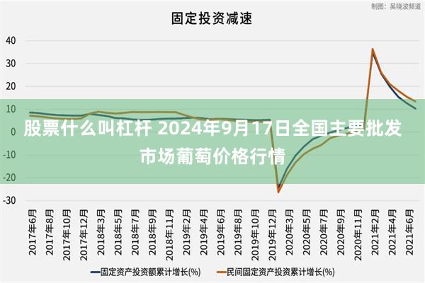 股票什么叫杠杆 2024年9月17日全国主要批发市场葡萄价格行情