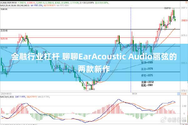 金融行业杠杆 聊聊EarAcoustic Audio丽弦的两款新作