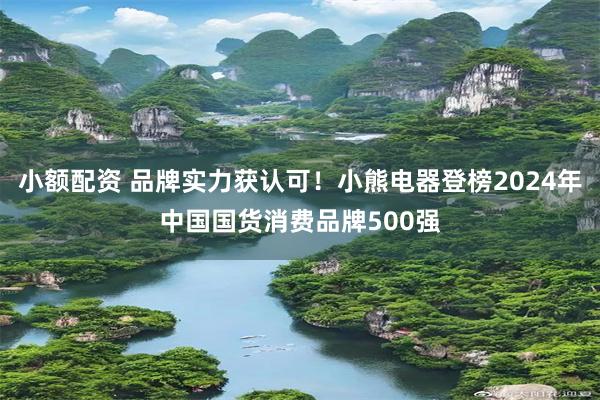 小额配资 品牌实力获认可！小熊电器登榜2024年中国国货消费品牌500强