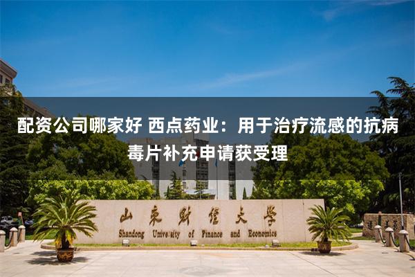 配资公司哪家好 西点药业：用于治疗流感的抗病毒片补充申请获受理