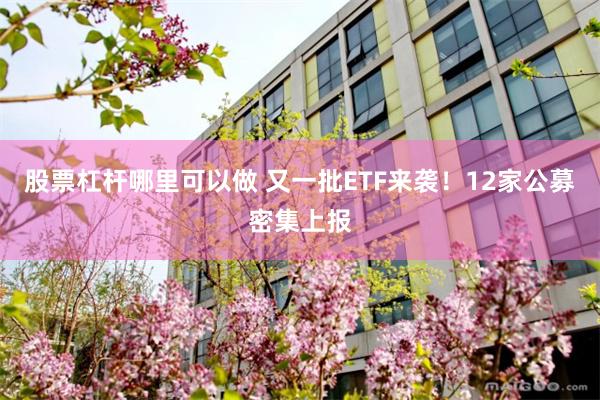 股票杠杆哪里可以做 又一批ETF来袭！12家公募密集上报