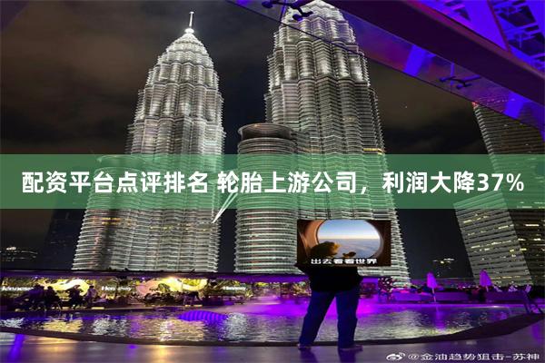 配资平台点评排名 轮胎上游公司，利润大降37%