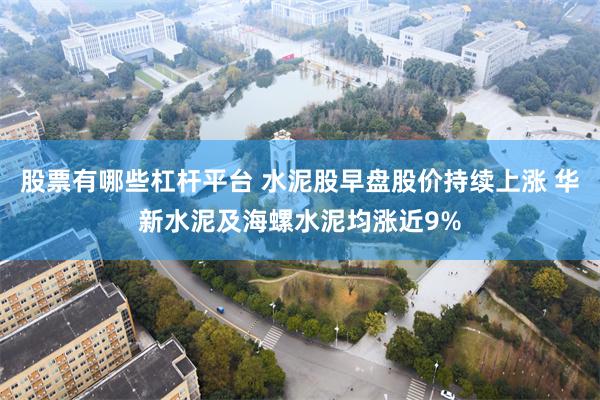 股票有哪些杠杆平台 水泥股早盘股价持续上涨 华新水泥及海螺水泥均涨近9%