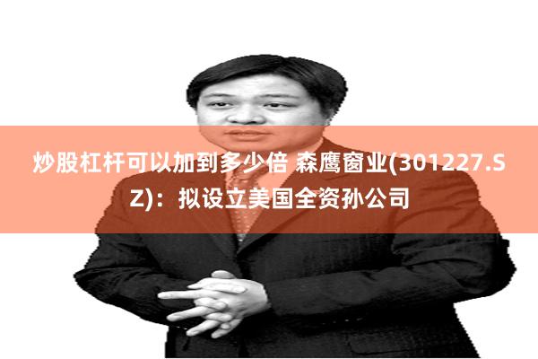 炒股杠杆可以加到多少倍 森鹰窗业(301227.SZ)：拟设立美国全资孙公司