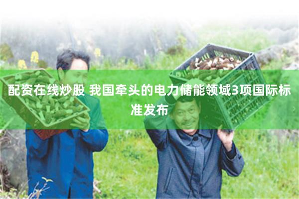 配资在线炒股 我国牵头的电力储能领域3项国际标准发布