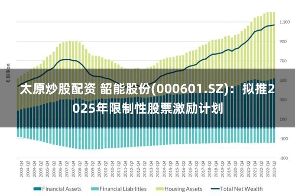 太原炒股配资 韶能股份(000601.SZ)：拟推2025年限制性股票激励计划