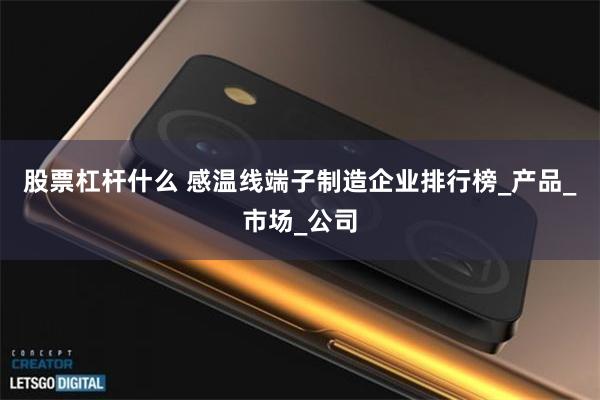 股票杠杆什么 感温线端子制造企业排行榜_产品_市场_公司
