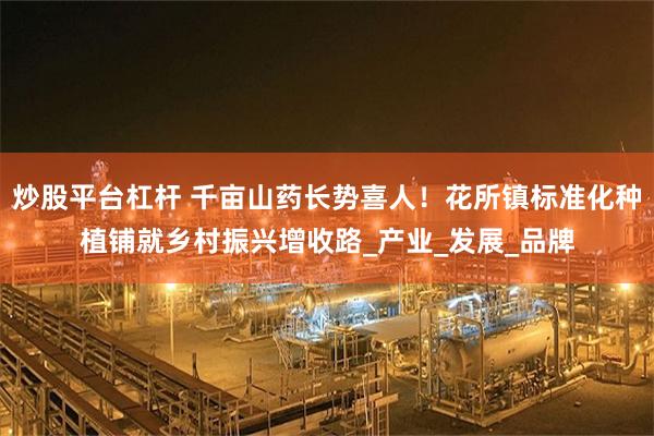 炒股平台杠杆 千亩山药长势喜人！花所镇标准化种植铺就乡村振兴增收路_产业_发展_品牌