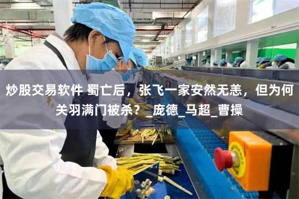 炒股交易软件 蜀亡后，张飞一家安然无恙，但为何关羽满门被杀？_庞德_马超_曹操