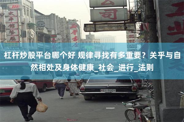 杠杆炒股平台哪个好 规律寻找有多重要？关乎与自然相处及身体健康_社会_进行_法则