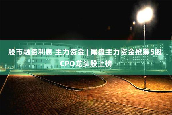 股市融资利息 主力资金 | 尾盘主力资金抢筹5股 CPO龙头股上榜