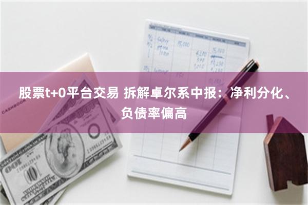股票t+0平台交易 拆解卓尔系中报：净利分化、负债率偏高